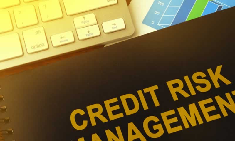 Give credit risk free to your Customers and grow your business.
